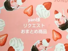 yan様 リクエスト 3点 まとめ商品