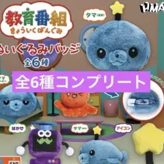 教育番組 ぬいぐるみバッジ　ガチャ　タマ　通常　しょんぼり　コンプリート　全6種