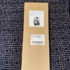 応募者全員サービス 僕のヒーローアカデミア リッチポスター 轟焦凍 B2