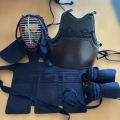 剣道 面 小手 胴 垂れ バッグ 防具 セット 幼・小学生 低学年用 自宅 