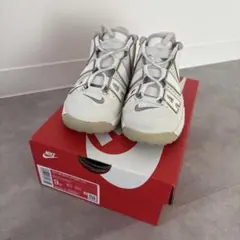 Item thumbnail for item b0ebe97e-e44a-4d16-ae26-440883b1e985