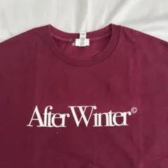 【After Winter】 Tシャツ(XL)
