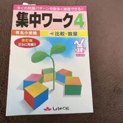 集中ワーク4 有名小受験　比較　数量