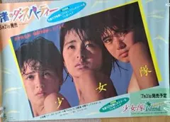 非売品 80年代 ビンテージ 資生堂 サンフレア 夏ダカラ ポスター 美女 昭和 非売品 80年代 ビンテージ 資生堂 サンフレア 夏ダカラ ポスター 美女