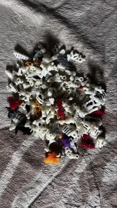 ほねほねザウルス もじバケる 幼児 子供 男の子 おとこのこ おもちゃ 玩具