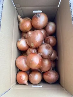 [農家直送]送料無料 淡路島産 玉ねぎ ターザン10kg 訳あり ☆早い者勝ち☆のサムネイル