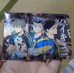 海外版 ハイキュー 3D ランダムカード 梟谷チーム