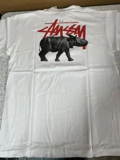 絶品！OLD StussyのベビーサイTシャツ 未使用