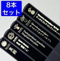 プランツタグ（8本）　アガベ　チタノタ　白鯨　パキポディウム　亀甲竜　パキプスのサムネイル