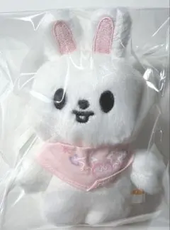 美品中古【匿名】Stray Kids スキズ リービット 10cmぬい