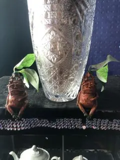 マンドラゴラ マンドレイク 2体 ガーデンオブジェ 幻のハーブ 送料込み 新品