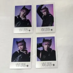 シューヤ REAL? ミニフォト 4種