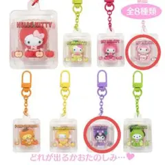 サンリオキャラクターズ シークレットキーホルダー(フルーツデザイン)マイメロ