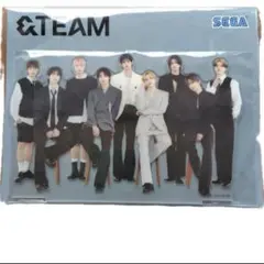 &TEAM アクリルスタンド　新品　未使用