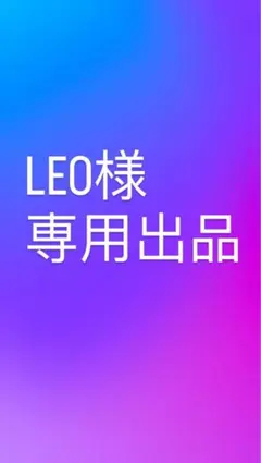 LEOさま専用出品
