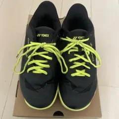 Item thumbnail for item 05d1df68-996f-422a-9ad6-0b8a081a495b