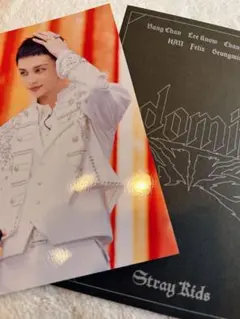 ヒョンジン　VR ライブ　ラントレ　Stray Kids　スキズ