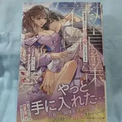 執着系策士の不埒な溺愛にされるがまま