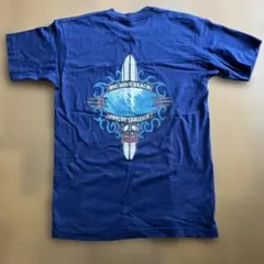 USA製ハワイオールドサーフTシャツ シングルステッチフルーツオブザルームのサムネイル