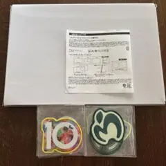 Mrs. GREEN APPLE 「10」 特典セット