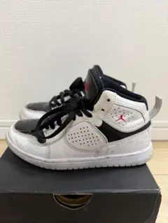 NIKE ナイキ ジョーダン JUMPMAN キッズ 子供 靴 スニーカー 19