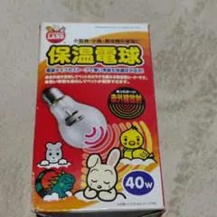 Item thumbnail for item 0163cef8-d9b3-4dca-9e25-ae5ca1f0387b