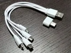 ✨一度にMicroUSB４台充電可　４分岐ケーブルとTypeA→C 変換アダプタ