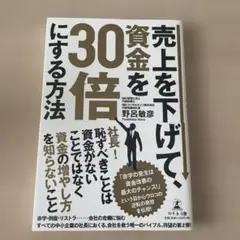 売上を上げて、資金を30倍にする方法