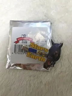 net競馬 アクリル前髪クリップ スターズオンアース
