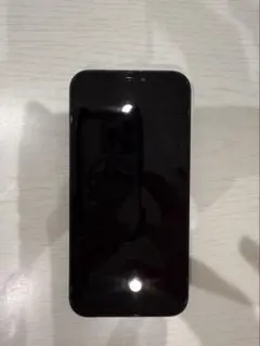 Apple iPhone 12 256GB SIMフリー バッテリー100%