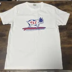 TES The Endless Summer エンドレスサマー　Tシャツ