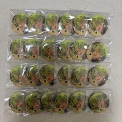 巴日和 あんスタ 缶バッジ テーマスカウト 24個