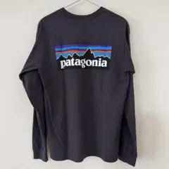 やの様専用⋆パタゴニア　メンズ　ロゴTシャツ　ロンT