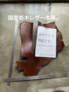 ヌメ革 レザークラフト