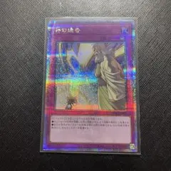 MTG】天使の嗜み Foil - メルカリ