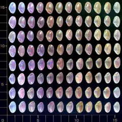 桜貝【片貝】極小96枚(穴無し)23