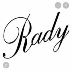 Rady 車　ゴミ箱　新品未使用です♪