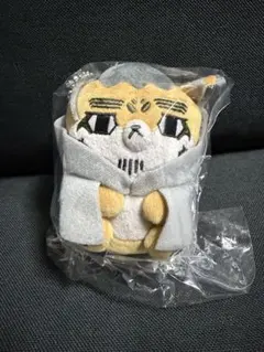 2025年最新】フォーゼ 尾形の人気アイテム - メルカリ