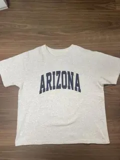 Item thumbnail for item 8332f354-232d-43e7-beea-f49377c7ed61