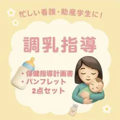調乳指導 保健指導計画書 パンフレット2点セット　USBデータ