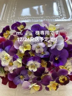 エディブルフラワー４パック専用