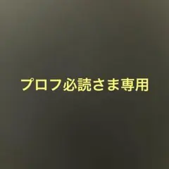 プロフ必読さま専用