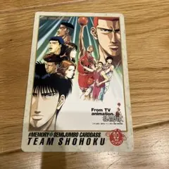 スラムダンクカード ジャンボカードダス 1995年 夏 東映アニメフェア