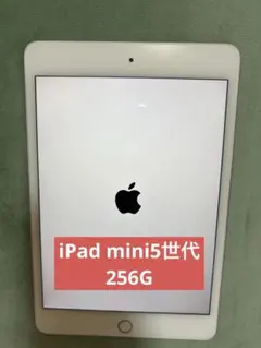 Apple iPad mini (第5世代) 256GB 箱入り 保護フィルム付