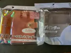 ダイソー　3穴バインダー　クリアポケットタイプ　3つ穴オーロラバインダー　セリア