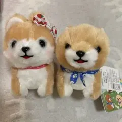 豆柴　三兄弟　ぬいぐるみ