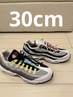 激レアNike Air Max 95 マルチカラー30cm
