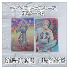 WINDBREAKERウエハース・梅宮一・レア・ノーマル・2枚セット