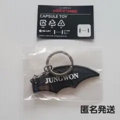 ENHYPEN ジョンウォン House of vampire カプセルトイ