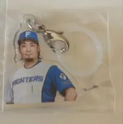 北海道日本ハムファイターズ めじるしチャーム　伊藤大海